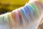 STICK COLORATI PER CRINIERA RAINBOW Beauty 